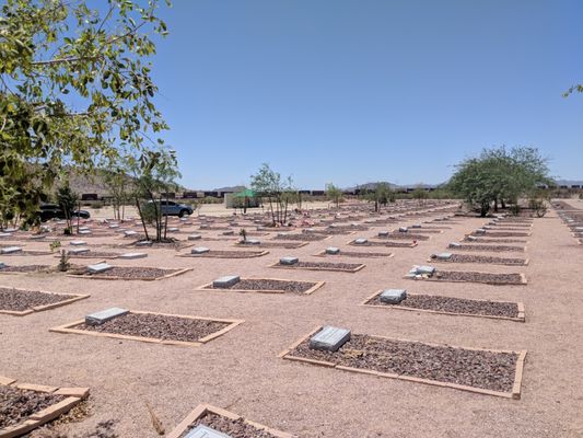 cemetery